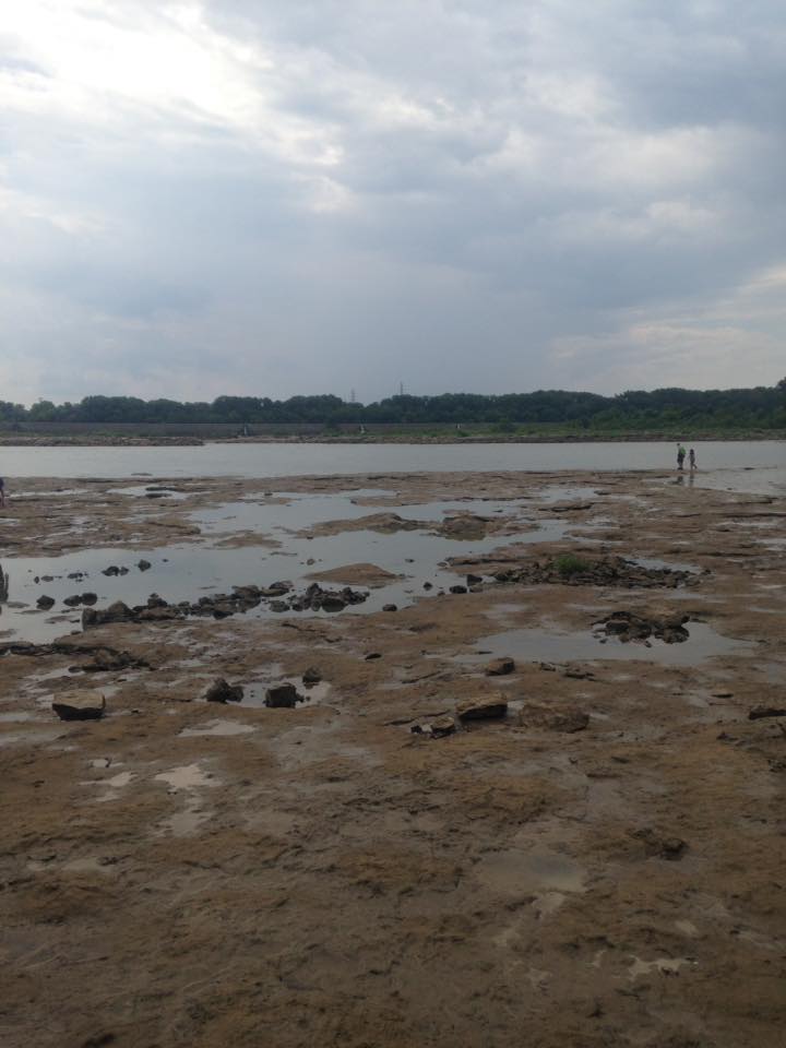 13902608_1303431619685585_6340126071561483572_n