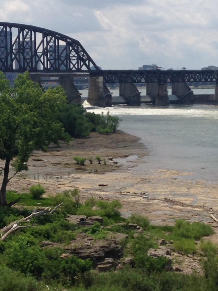 13903272_1303426746352739_6618436148239093373_n