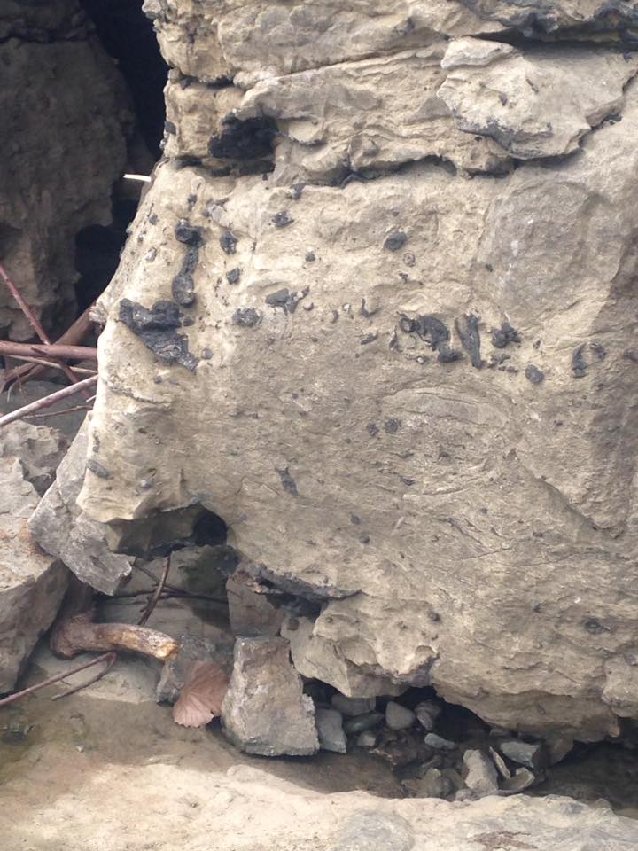 13906604_1303431923018888_6107292624122304985_n