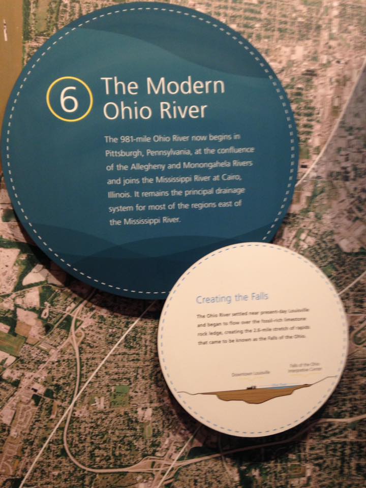 13906671_1303428326352581_8750791076983836814_n