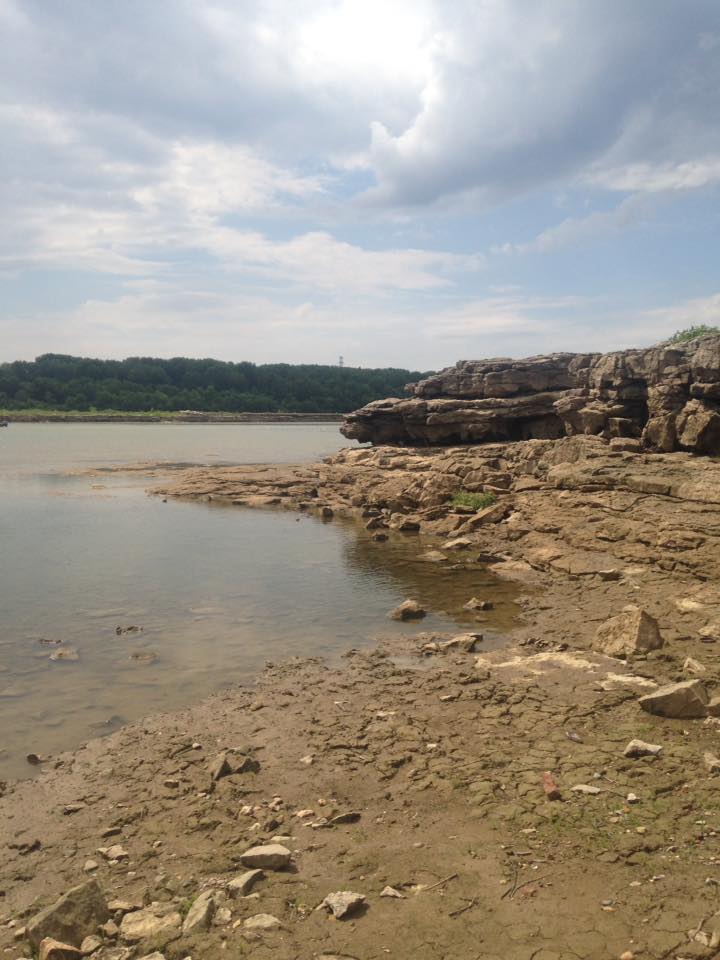 13906763_1303431863018894_4370149104118814039_n