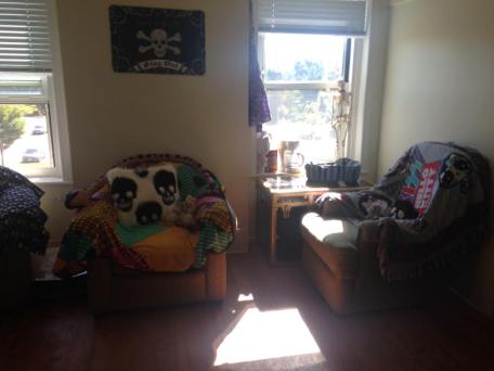 14729112_1373591999336213_483035358316805935_n