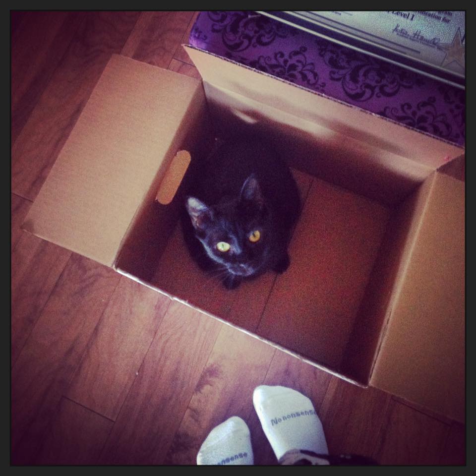 14192576_1330222187006528_4835355863190092476_n