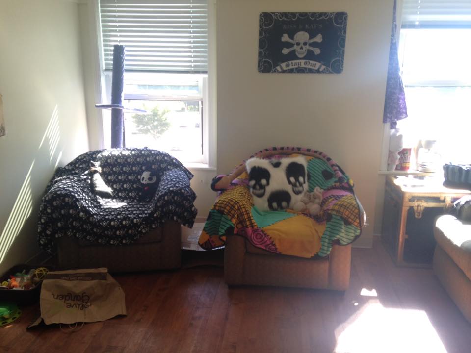 14725517_1373592006002879_4887523633262925412_n