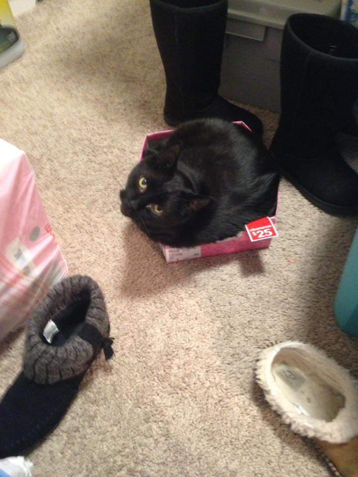 15665802_1463582467003832_4666402486841343196_n