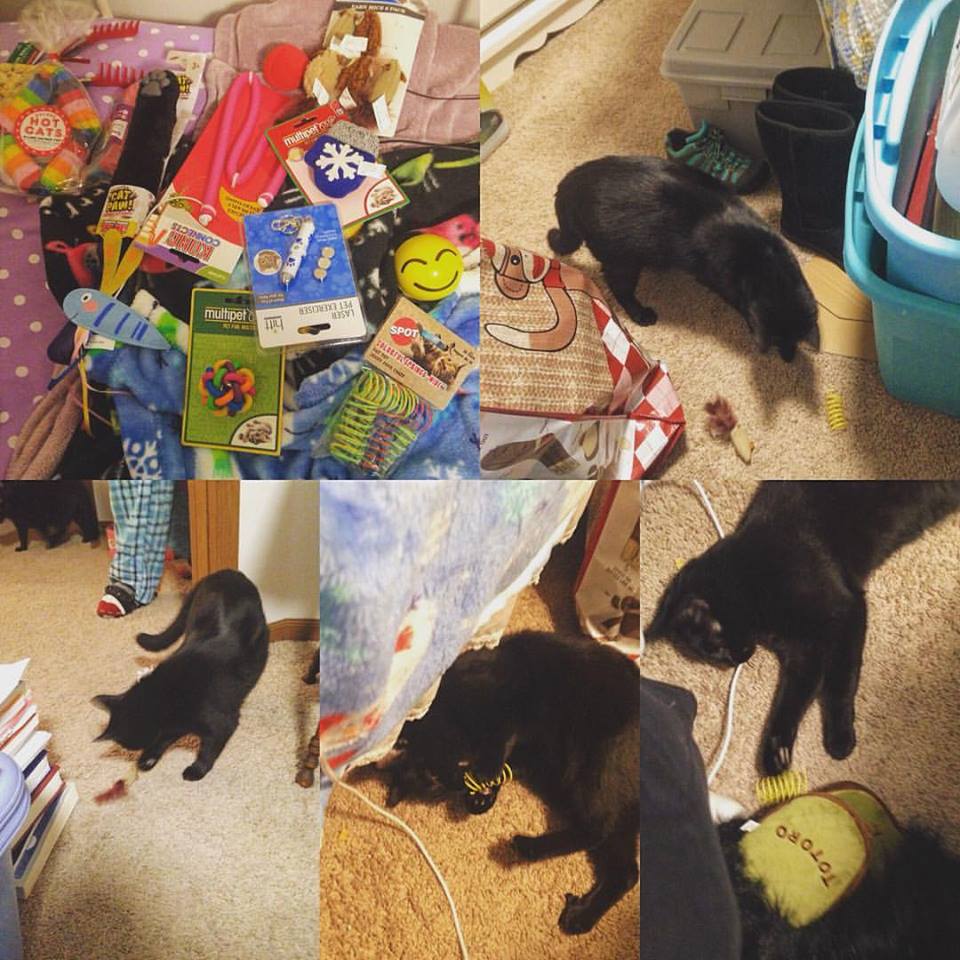 15740861_1463579740337438_9191178746475421233_n