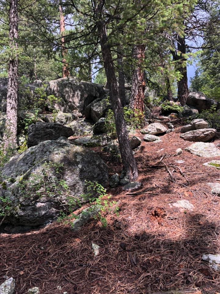 66849364_2722371474458252_3550133320203370496_n