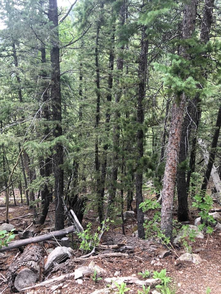 66914291_2722369224458477_6612380414533173248_n