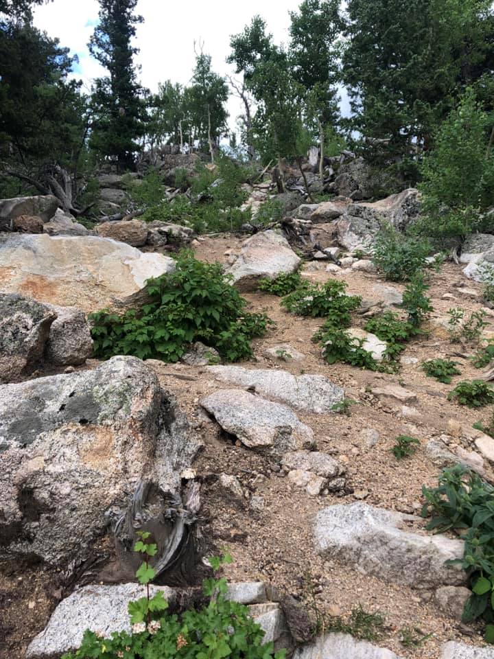 67051399_2722369194458480_4546171811359883264_n