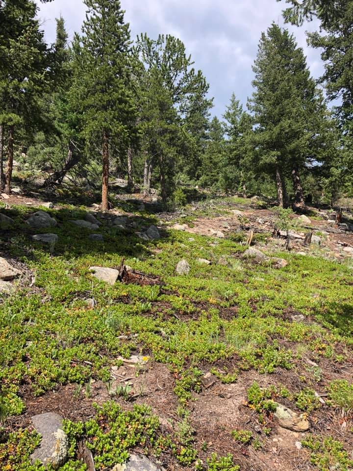 67110415_2722371817791551_4919985153255669760_n