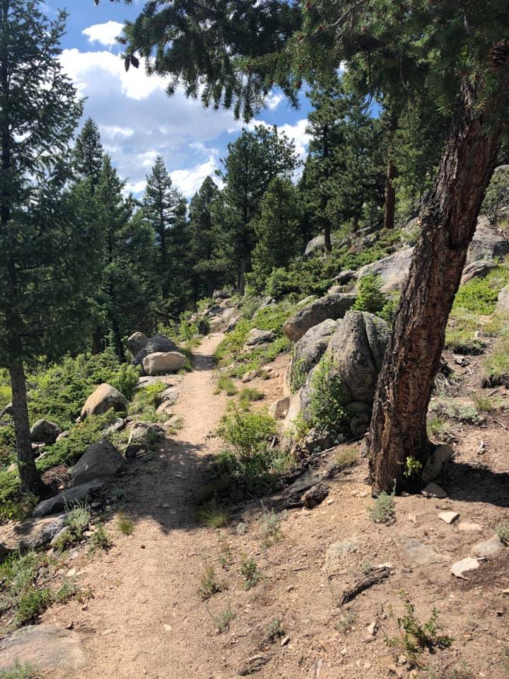 67116340_2722372031124863_4001159127425351680_n