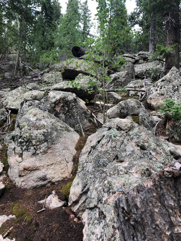 67166071_2722368877791845_1063625316297080832_n