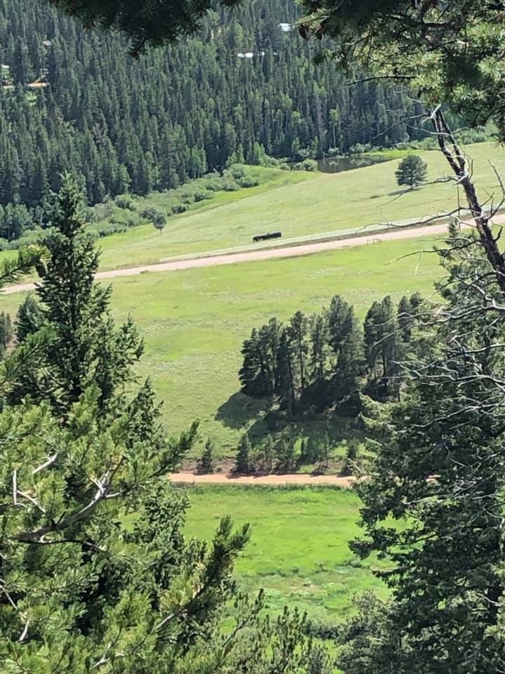 67200736_2722371911124875_1173215852145672192_n