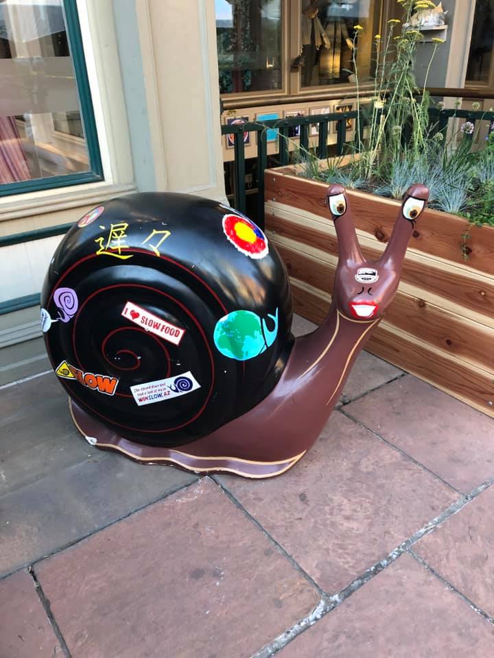 67202605_2718752304820169_3590634475257593856_n