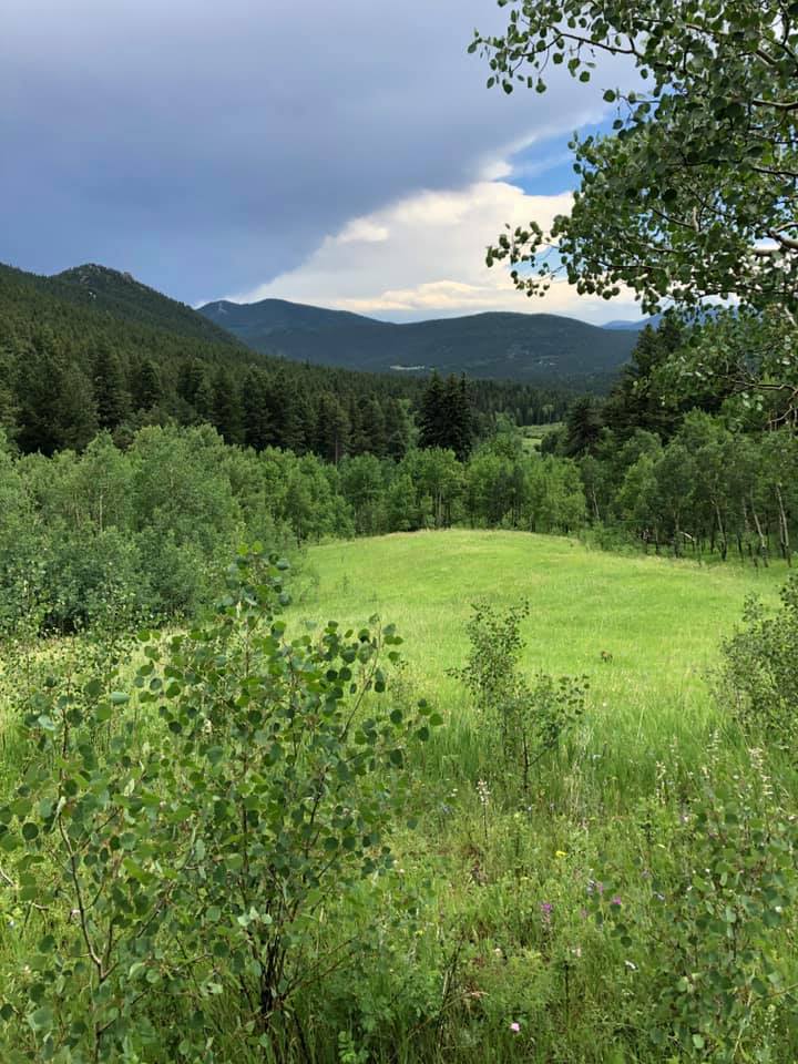 67211381_2722371371124929_6846991714586984448_n