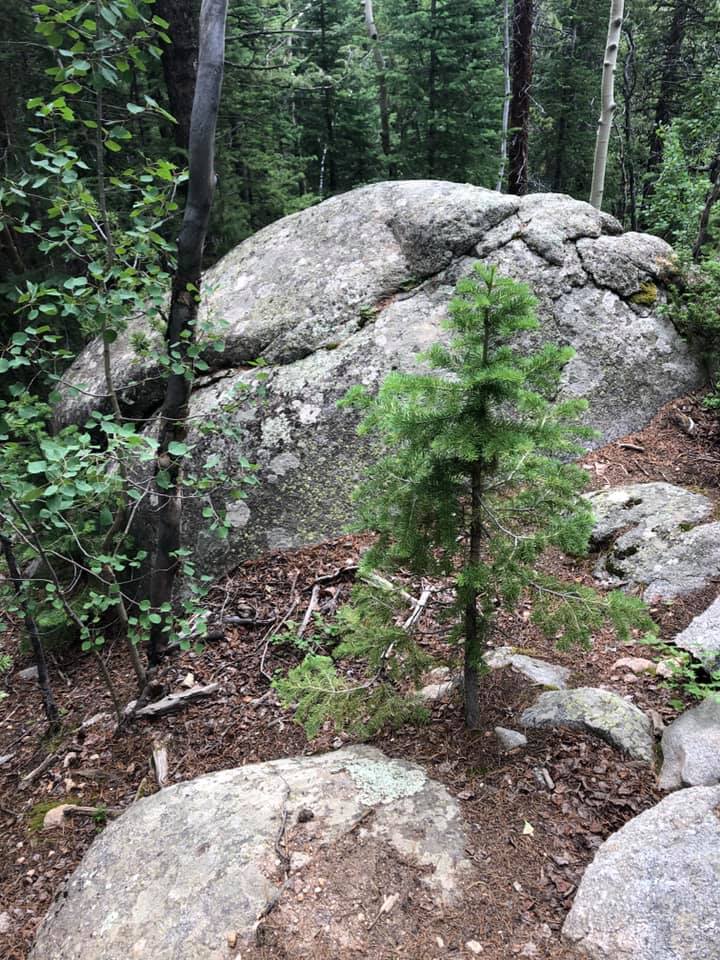 67233018_2722368854458514_7497034563865018368_n