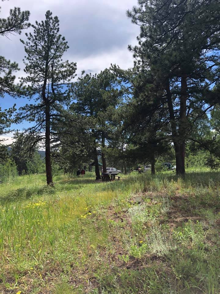 67266490_2722371327791600_6428180215079370752_n