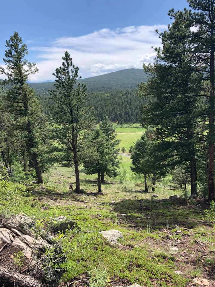 67318974_2722371614458238_7512289359987474432_n