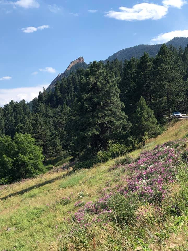 67332133_2722377231124343_5499383053304201216_n