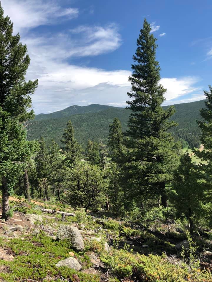 67411686_2722371801124886_4177272049489674240_n