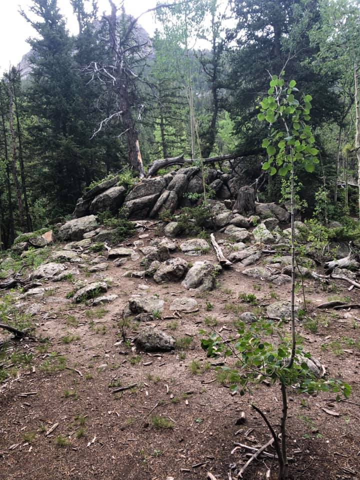 67475232_2722369274458472_866598119704363008_n