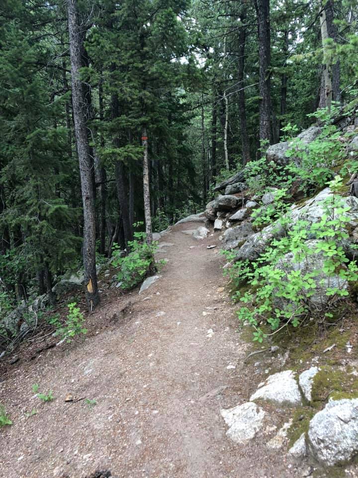 67490910_2722369184458481_7013634886598656000_n