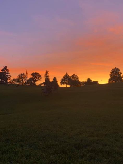 67515731_2718751464820253_3045256568779046912_n