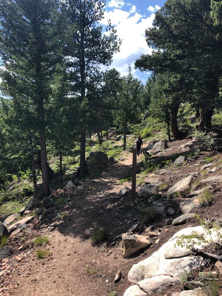 67620039_2722371854458214_8541190441222012928_n