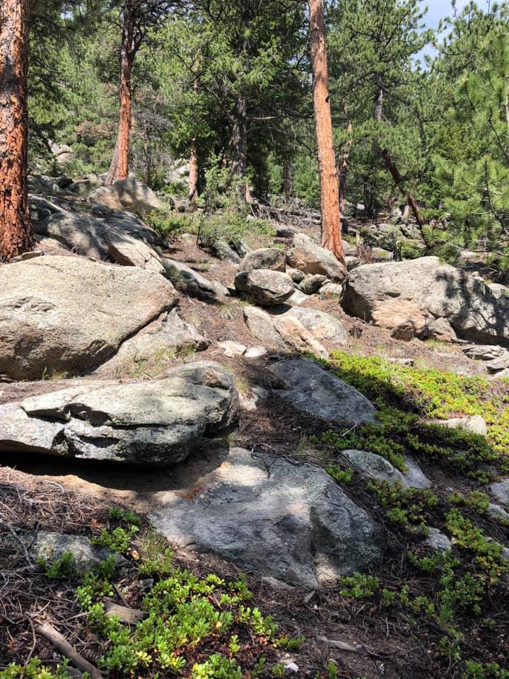 67648704_2722371701124896_8224251408447176704_n