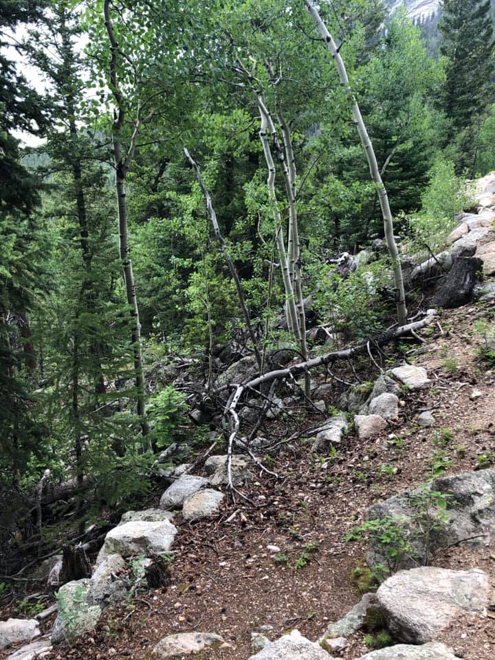 67699033_2722368947791838_8769510133878226944_n